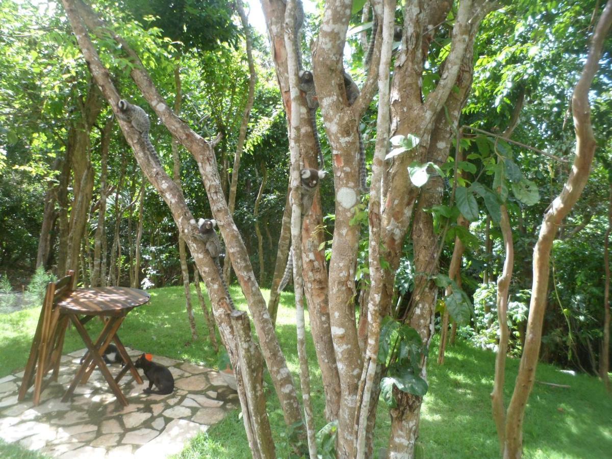 Casa Hermosa II Praia de Pipa Dış mekan fotoğraf